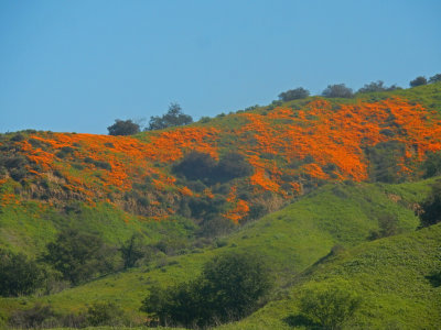 DSCN5052-PoppysRanch.jpg