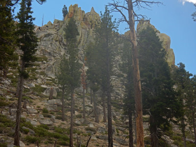 34-Towers-And-Pines-DSCN5502.jpg