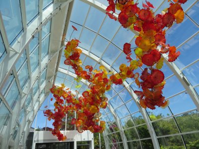 Chihuly IMG_0614.JPG
