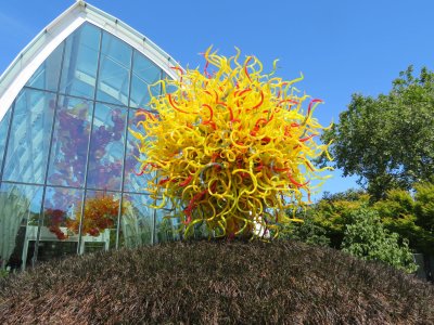 Chihuly IMG_0622.JPG