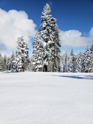 Yosemite Winter 2019