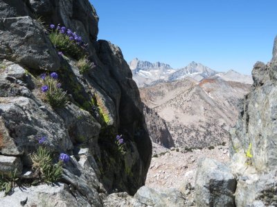 Keersarge Pass Backpack Trip Day 4 (9).jpg