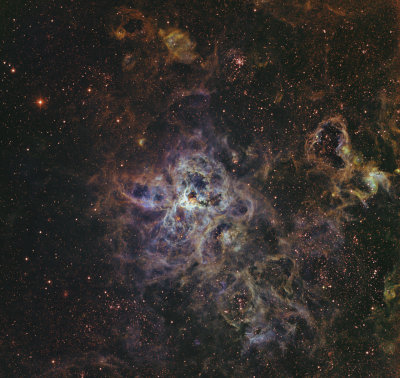 NGC2170 The Tarantula Nebula