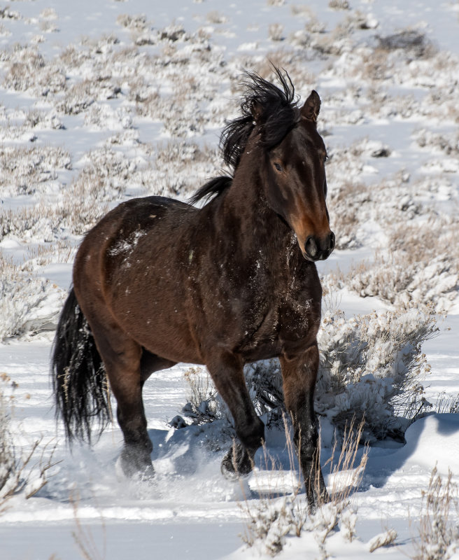 DSC_6814a.jpg