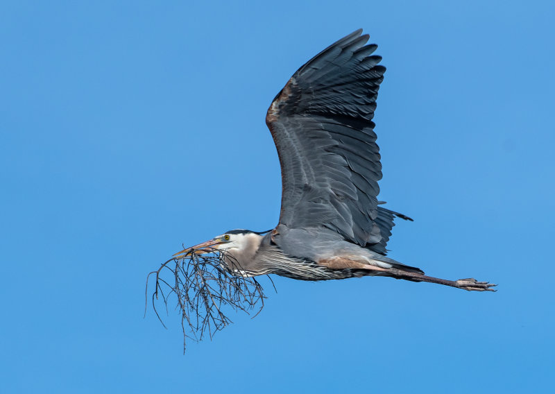 DSC_1480a.jpg