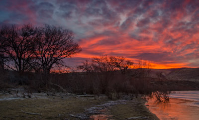 DSC_5806a.jpg