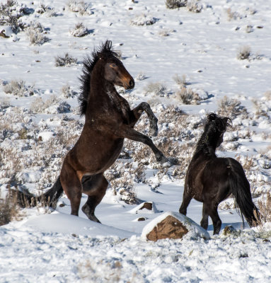 DSC_6666a.jpg