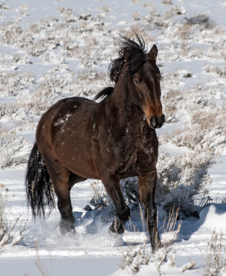 DSC_6814a.jpg