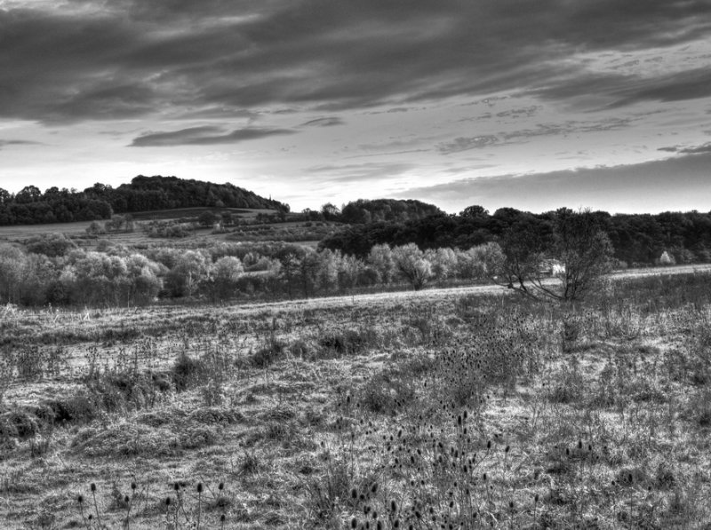 Along the river Syre HDR