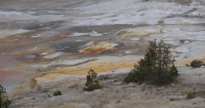 Colours Norris Basin YSNP