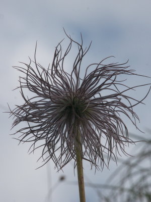 A little tousled