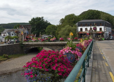 Flowers at Cascade de Coo