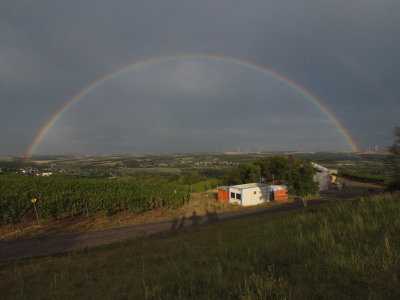 Rainbow over the Moselle valley vineyards