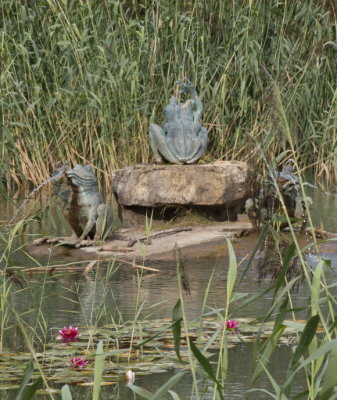 Frog fountain with water lilies