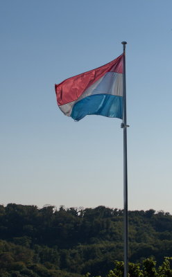 National flag in the vineyards