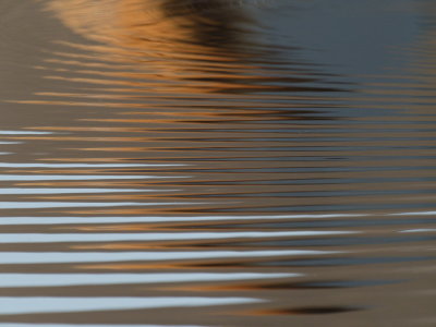 The day's last sunrays on the ripples in the water