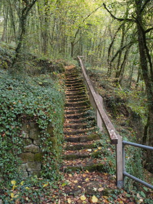 Steps leading up into the woods above Ehnen