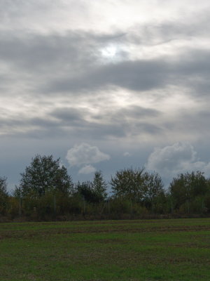 Somber sky