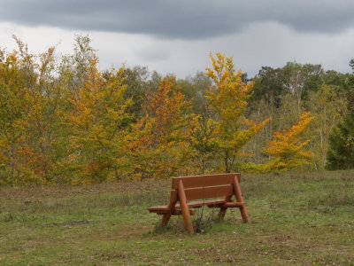 A bench from which to admire the autumn colours