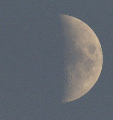 The Moon - 21 November - First Quarter 2020 at 44.4% - at 4.30 pm (GMT +1)