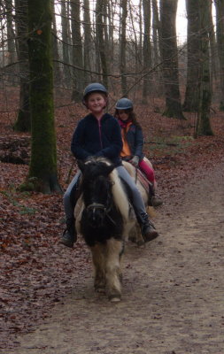 Two girls riding their ponies