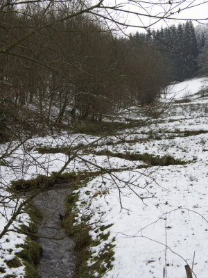 Meandering stream