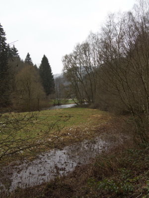 The river Our with a soggy field in the foreground