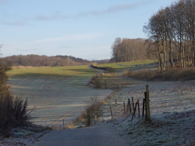 The ground beginning to thaw