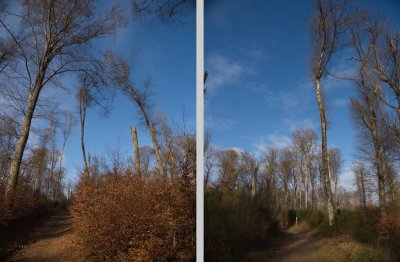 Blue sky at the start of the walk