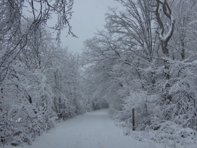 White tunnel