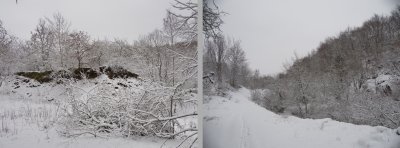 Snow