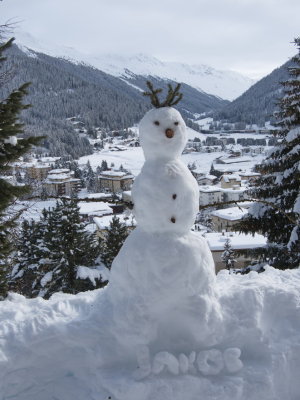 Jakob's snow-elk