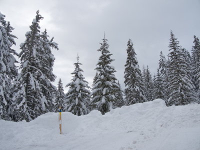 Pole marking the winter hike trail