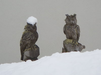 Sculpted owls