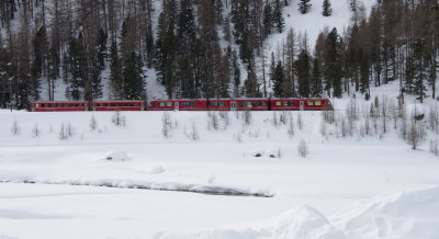 Train travelling towards Pontresina from Bernina Pass res.jpg