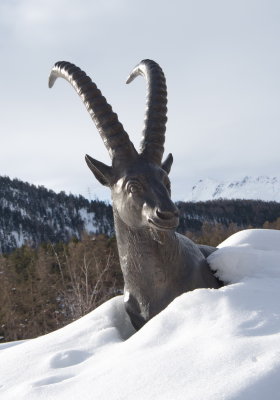 Bronze ibex