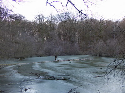 High water level on the frozen pond