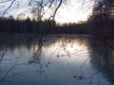 The sun setting behind the trees on the edge of the frozen pond