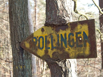 Rollingen