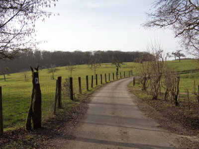 The path winding past the orchards