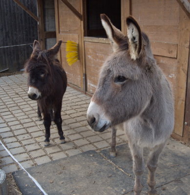 Nahla and her son Mo