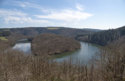 Bavigne