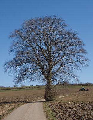 Berlé