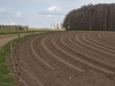 Ploughing and creating parallel mounds
