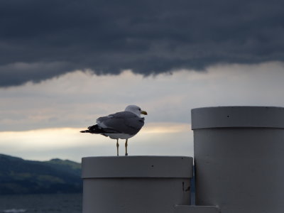 Threatening sky