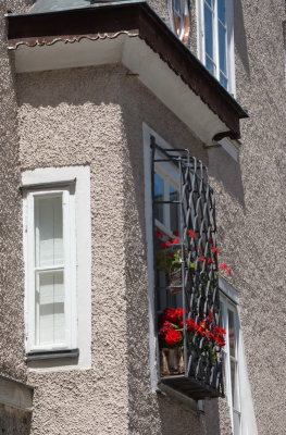 Window with flowers and wrought iron