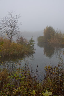 November mist at midday