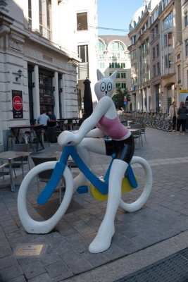 Catty cyclist