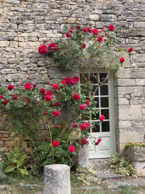 Entrance with roses