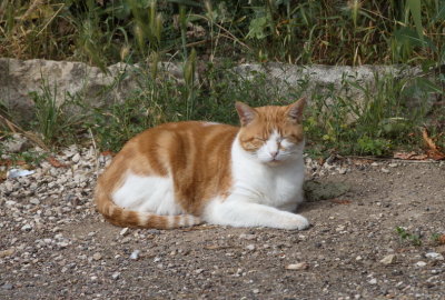 Attitude - if you live in one of Les Plus Beaux Villages de France